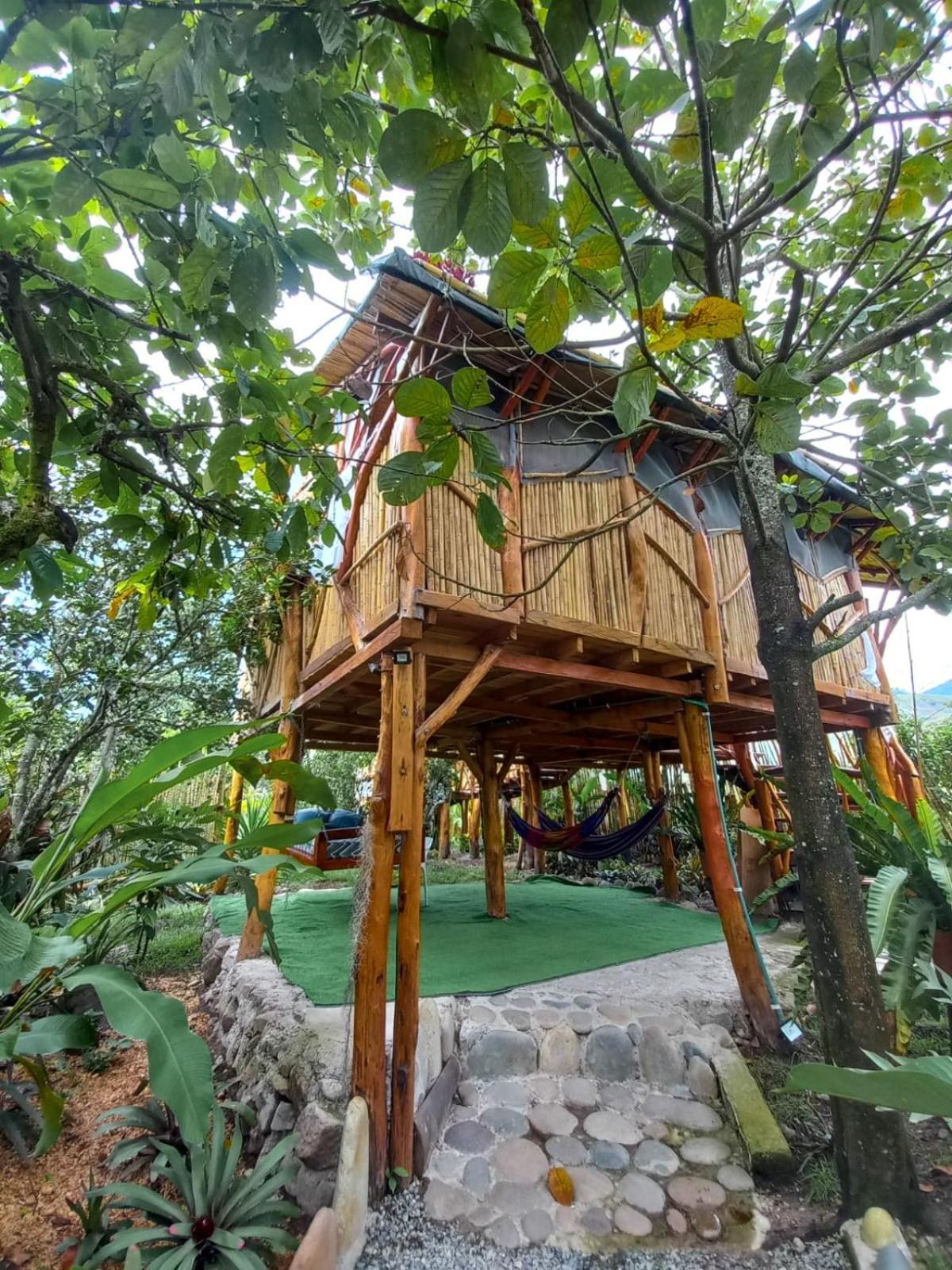 Villa Sonia Eco-Hostel Gigante Εξωτερικό φωτογραφία