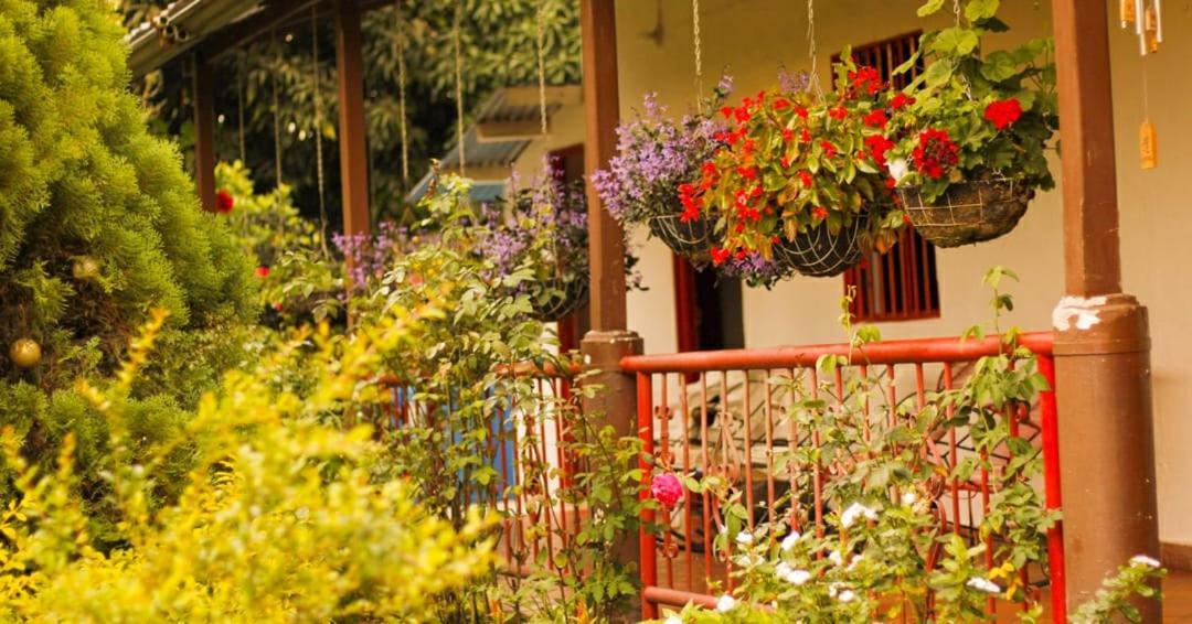 Villa Sonia Eco-Hostel Gigante Εξωτερικό φωτογραφία